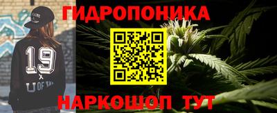 прущие грибы Конаково