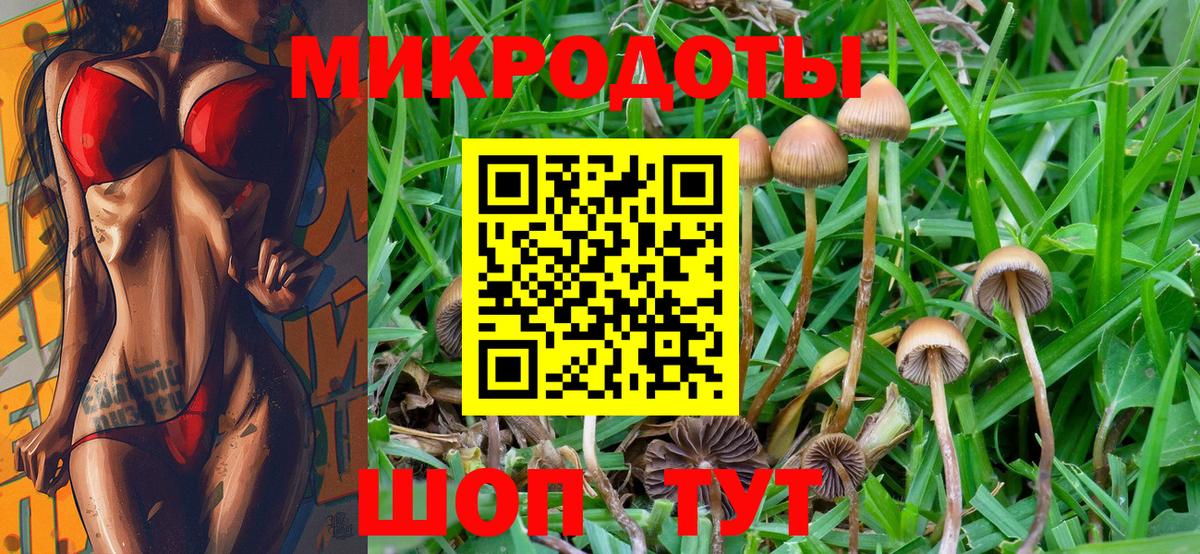 Чебоксары  наркотики  Псилоцибиновые грибы GOLDEN TEACHER  Вход с VPN  Галлюциногенные грибы GOLDEN TEACHER 