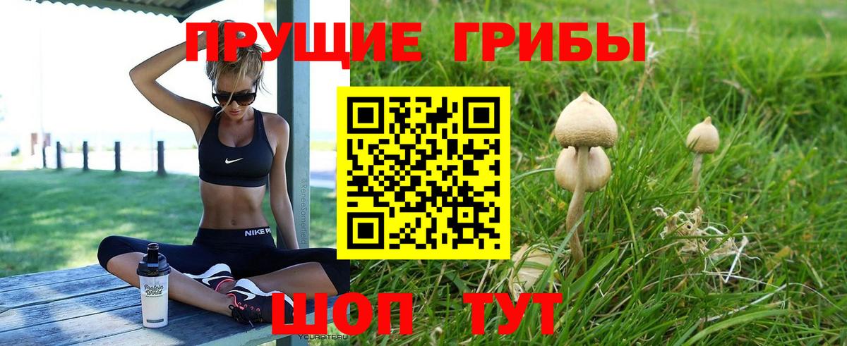 Галлюциногенные грибы Psilocybine cubensis Чебоксары